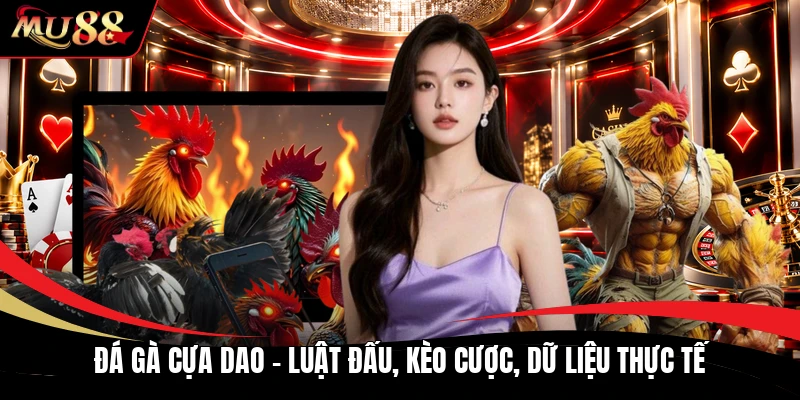 Đá Gà Cựa Dao - Luật Đấu, Kèo Cược, Dữ Liệu Thực Tế