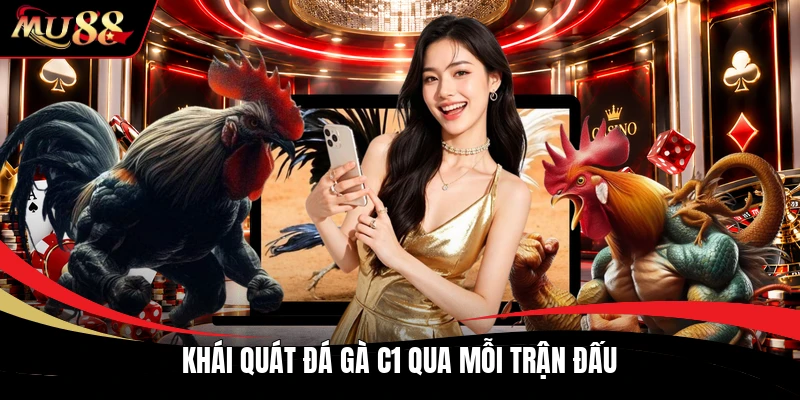 Khái quát đá gà c1 qua mỗi trận đấu
