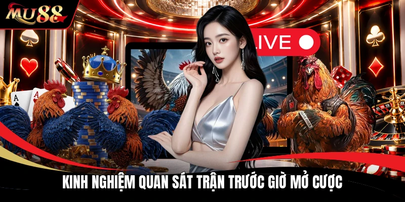 Kinh nghiệm quan sát trận trước giờ mở cược