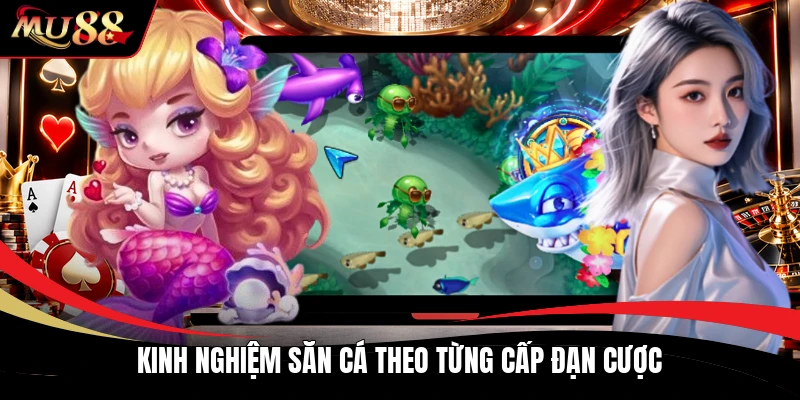 Kinh nghiệm săn cá theo từng cấp đạn cược