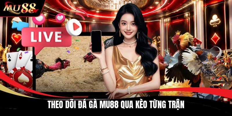 Theo dõi đá gà MU88 qua kèo từng trận